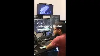 Debugging tips for beginners