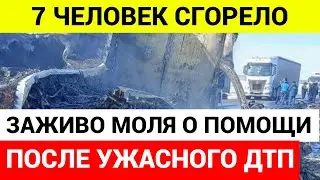 УЖАСНАЯ СМЕРТЬ! 7 ЧЕЛОВЕК ЗАЖИВО СГОРЕЛИ В ДТП