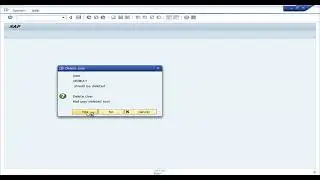 Delete user in SAP