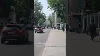 тополиный пух в москве