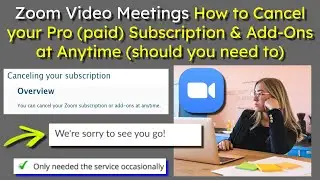 Zoom Video Meetings How to Cancel your Pro Subscription and Add-Ons at Anytime (should you need to)