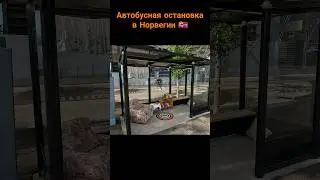 Это Норвегия!!!