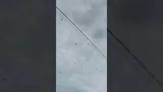 саммит