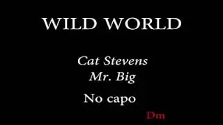 WILD WORLD - MR. BIG / CAT STEVENS