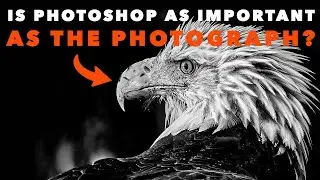 How To Capture EMOTIONAL Wildlife Photography | Post Processing