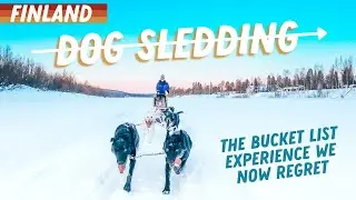 IS DOG SLEDDING ETHICAL? The Bucket List Experience We Now Regret