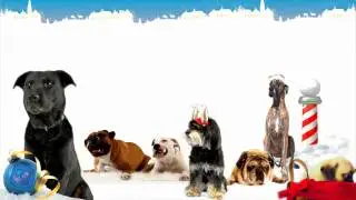 The 12 Dogs of Christmas - Singing Live from the North Pole