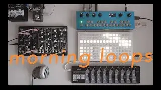 morning loops | makenoise 0-coast + organelle + monome grid