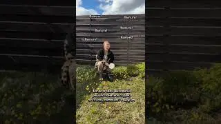Кажется сад подождёт 🙈😆