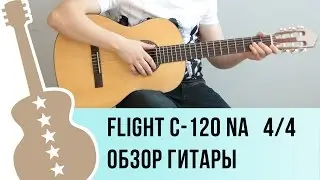 Flight C-120 обзор гитары