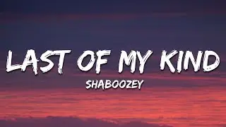 Shaboozey - Last Of My Kind (Lyrics) ft. Paul Cauthen