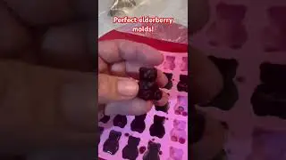 Perfect Elderberry gummy bear molds (link for gummy bear trays in description)