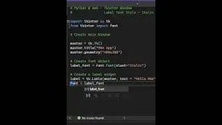 Python  Tkinter Label Font Styles Italic Bold Underline 