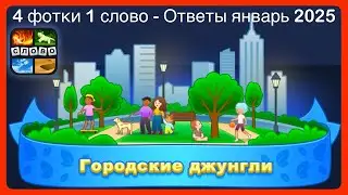 4 фотки 1 слово - Городские джунгли - Ответы Ежедневная Загадка - январь 2025 