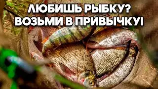 ОТ ПАРАЗИТА УБИВАЮЩЕГО ЧЕЛОВЕКА /ОПИСТОРХОЗ 