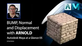 Maya at a Glance: Bump map, Normal Maps and Displacement maps in Arnold