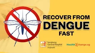 How to Recover from Dengue Fast! | ESSENTIAL TIPS in 60 SECS