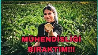 MÜHENDİSLİĞİ BIRAKTIM BU İŞİ YAPIYORUM | TÜRKİYENİN HAZİNELERİ-1 ENGİNAR