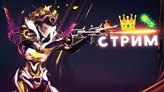 Shorts Warframe stream Ежедневочки, общение и фарм👑🦠 !бусти !tg