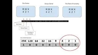Linux CHMOD Tutorial (Part 01)