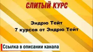 Слив курса. Эндрю Тейт - 7 курсов от Эндрю Тейт