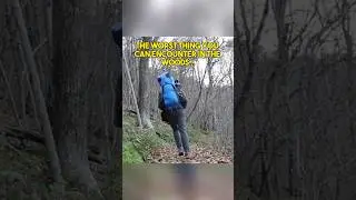 NEVER Camp in The Appalachian Mountains Alone…