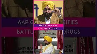 Punjab CM Bhagwant Mann Launches Anti-Narcotics Task Force, WhatsApp Helpline To Tackle Drug Menace