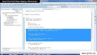 Hibernate Tutorial part 11   ManyToOne   OneToMany Mapping  Bidirectional