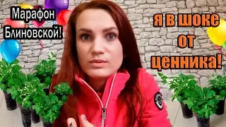 💥ВЛОГ:🎈МАРАФОН БЛИНОВСКОЙ🔥🔥🔥 - Я В ШОКЕ😱 ОТ СТОИМОСТИ! ПЕРЕСАДКА ПЕТУНИИ🌺! ДОМАШНИЕ ЧИПСЫ🥔!