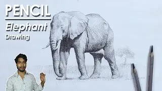 Realistic Elephant Drawing in Pencil | step by step shading process | Supriyo