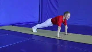 Exercise 1. Bending and unbending the arms in the prone position (pushups)
