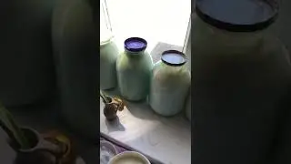Домашней Сметаны вкуснее,только домашняя сметана #рецепт #cute #животные #еда #farming #рецепты