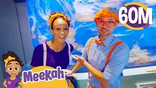 Meekah and Blippi - Aquarium Adventure! Educational Videos for Kids | Blippi and Meekah Kids TV