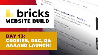 Day 13: Let's launch!! Cookies, GSC submission, QA | Bricks website build: MyxoTech