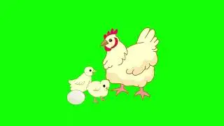 Hen with chicks and egg 2d animation on green screen free copyrights