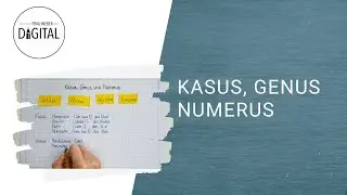 Kasus, Genus und Numerus - das bedeuten die Begriffe (inkl. Arbeitsblatt)