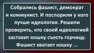 Фашист, Демократ, Коммунист и Бродячая Кошка! Сборник Изумрудных Анекдотов №152