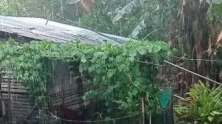 Rain sound for sleeping