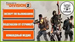 THE DIVISION 2 Эксперт по выживанию, секреты штурмовой винтовки (подсказки от стримера) в Дивижн 2