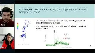 David Kappel - Spiking networks for efficient machine learning