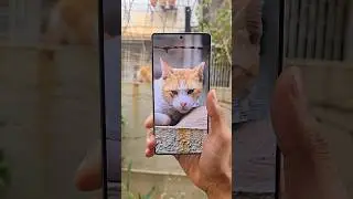 Samsung S25 Ultra Camera Test 🔥