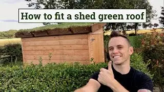 How to fit a green roof to a garden shed