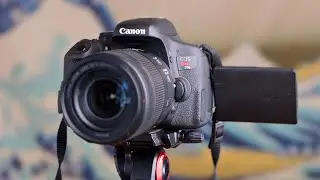 Canon T6i in 2024: A Comprehensive Review