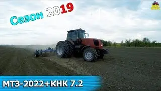 Крайняя культивация пара МТЗ-2022. Нашествие ХЛОПКОВОЙ СОВКИ