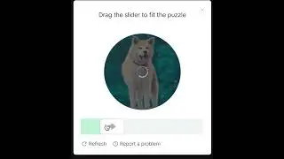 captcha: Drag the Slider to fit the puzzle