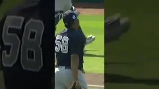 Yankees relief pitcher Wandy Peralta struck out a hitter in 20 seconds #shorts