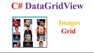 C# DataGridView- Display Images In Grid