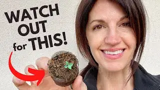 SEED STARTING & What You NEED to know about Coconut Coir