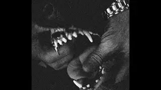 [FREE] ''FEAR'' | Hard Trap Type Beat | Freestyle Type Beat | Free Type Beat 2024