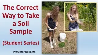 The Correct Way to Take a Soil Sample (Student Series)